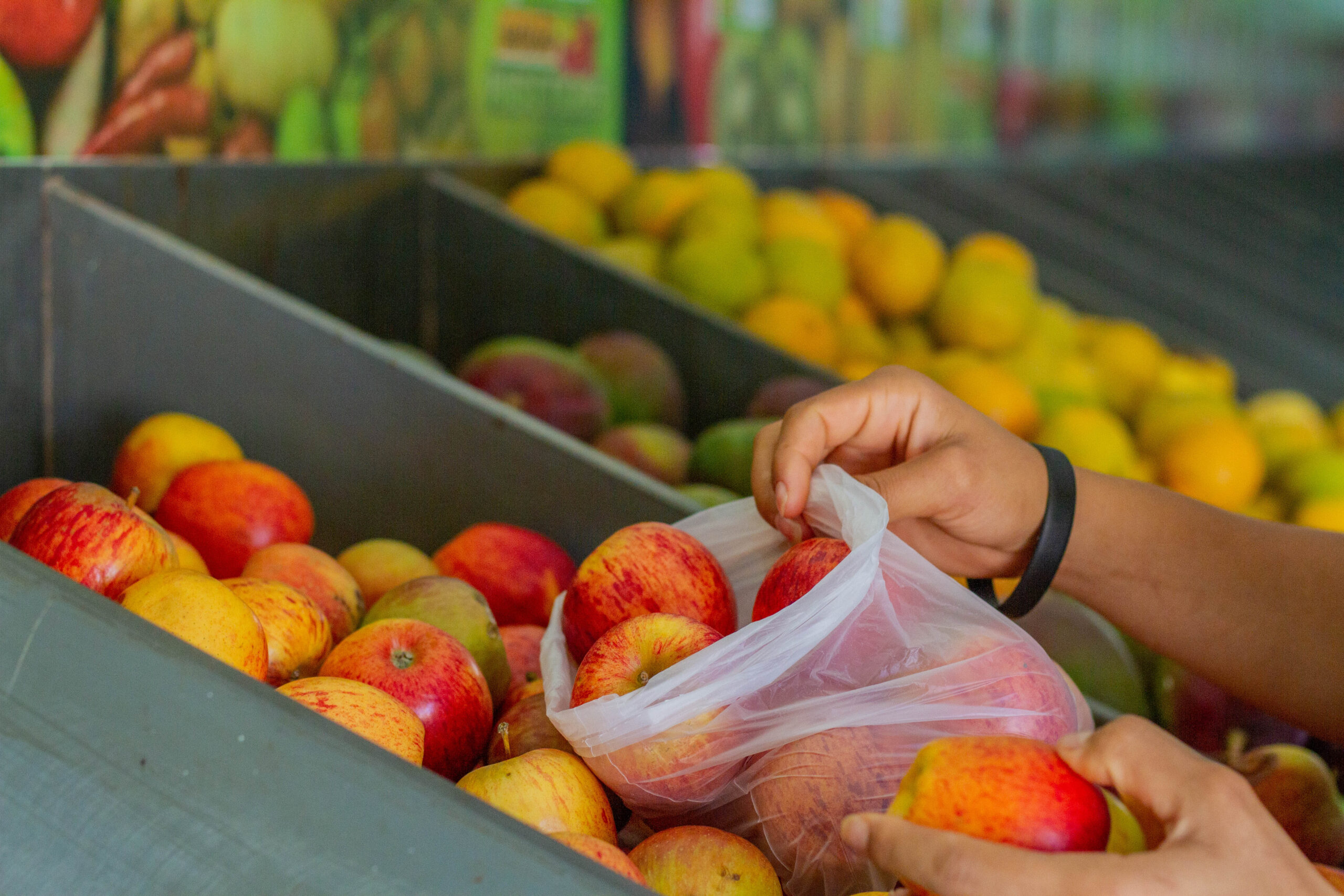 Você sabia que a pensão alimentícia também é um direito para idosos? Confira como funciona.