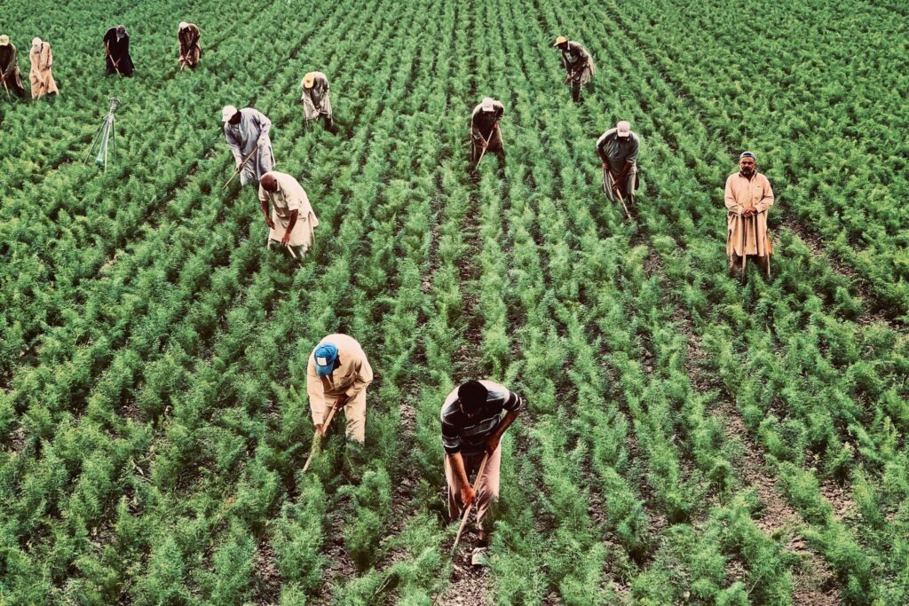 Se você trabalha no campo, saiba mais sobre a aposentadoria rural.