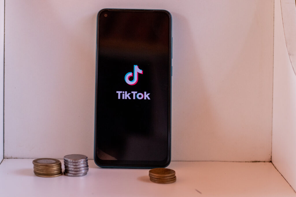 Incrível! Veja como brasileiros usam o TIKTOK para faturar R$ 5 MIL por mês