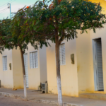Quer 50% de desconto no seu primeiro imóvel Descubra como garantir o seu agora
