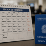 LULA ESCALA 6X1